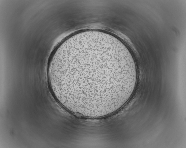 X0000113021176200909241629