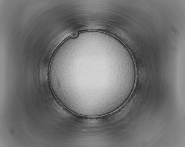 X0000113021177200909241629