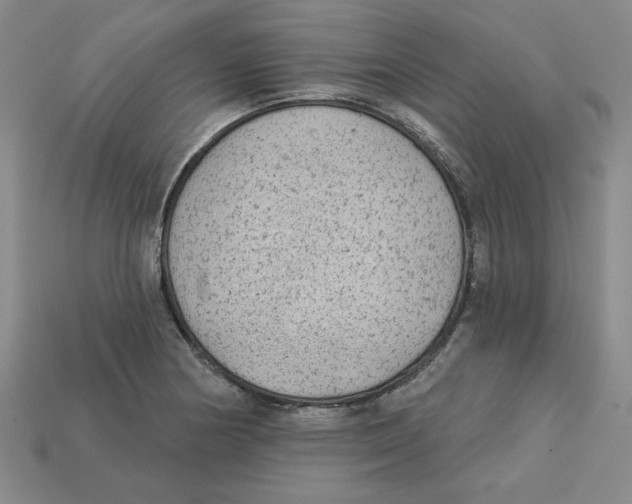 X0000113021178200909241629