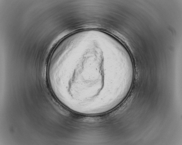 X0000113021179200909241629