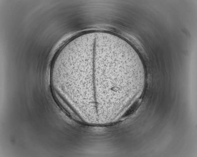 X0000113021180200909241629