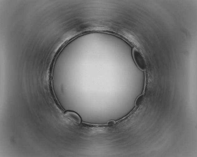 X0000113021181200909241629