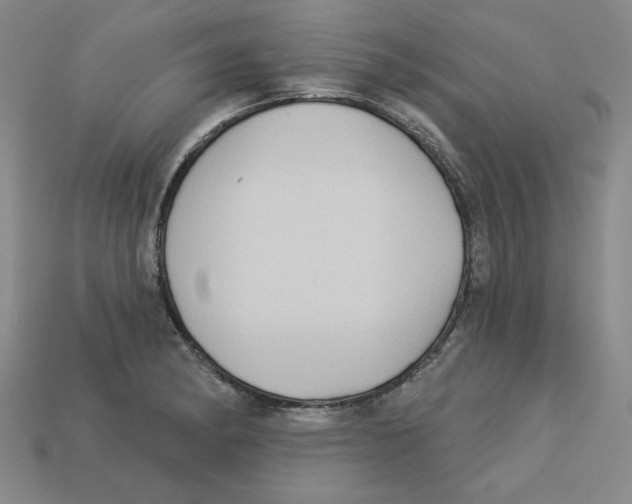 X0000113021182200909241629