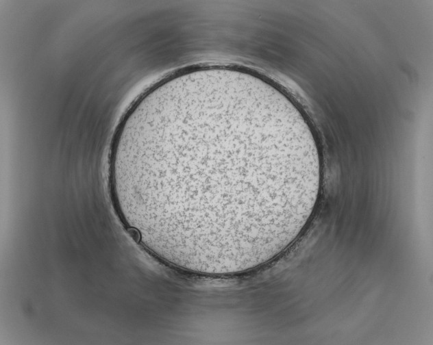 X0000113021183200909241629