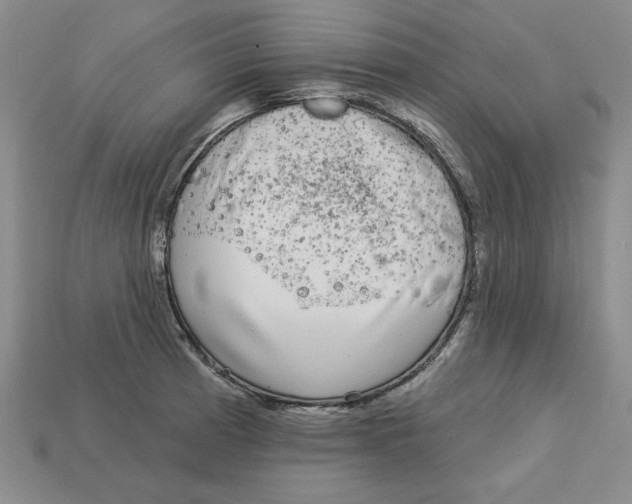 X0000113021185200909241628