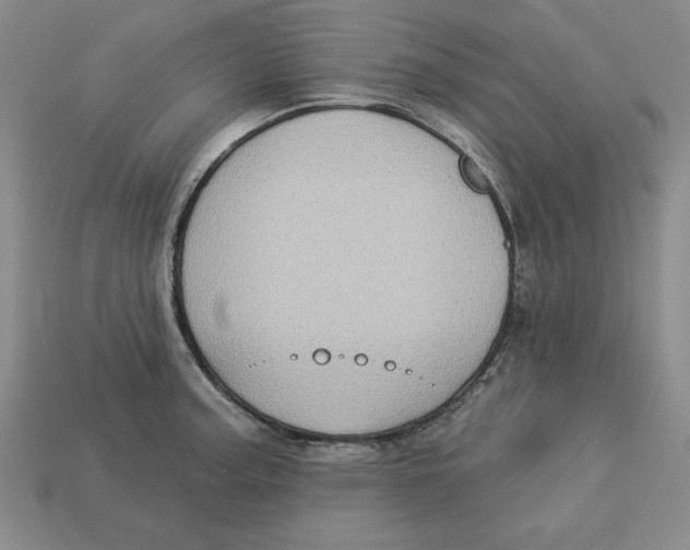 X0000113021187200909241628