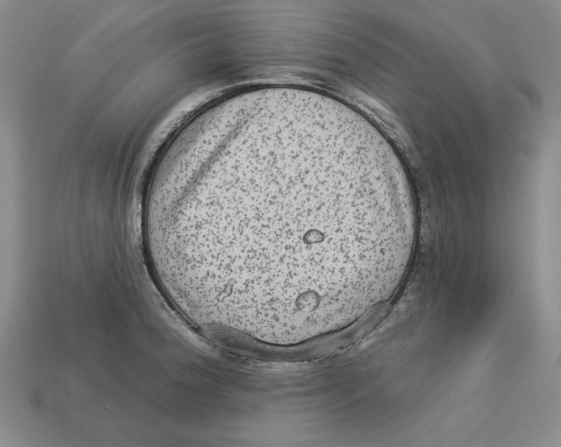 X0000113021188200909241628