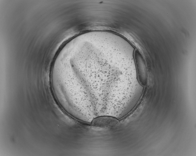 X0000113021189200909241628