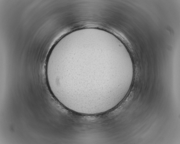 X0000113021190200909241628