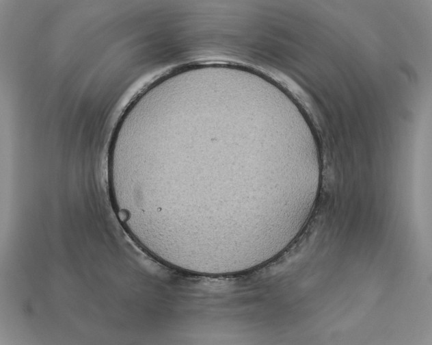 X0000113021191200909241628