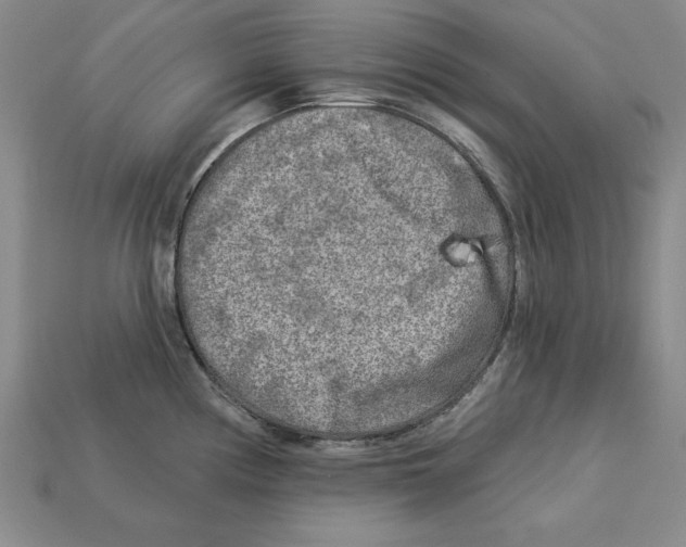 X0000113021194200909241628