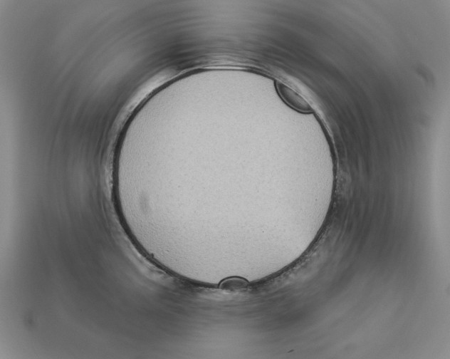 X0000113021195200909241628