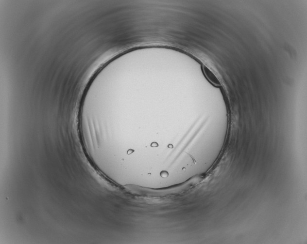 X0000113021197200909241628