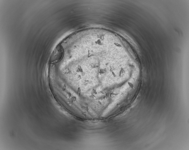 X0000113021198200909241628
