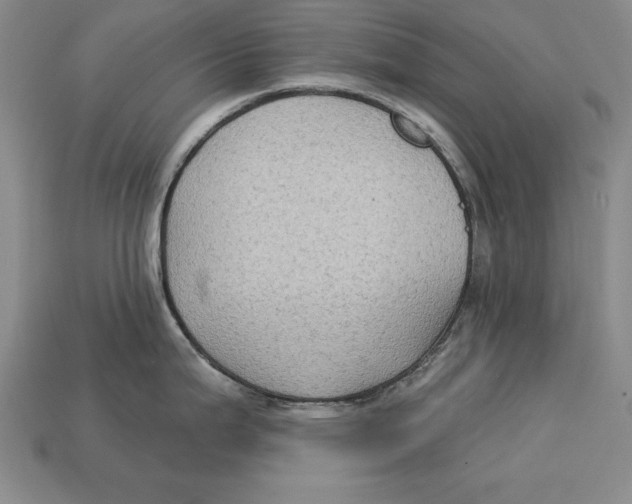 X0000113021199200909241628