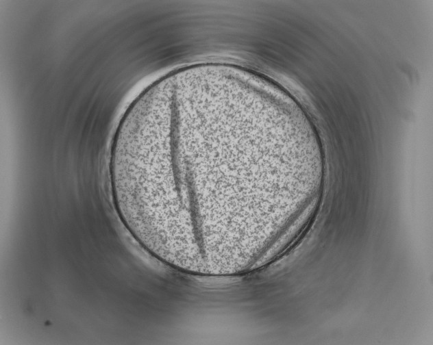 X0000113021200200909241628