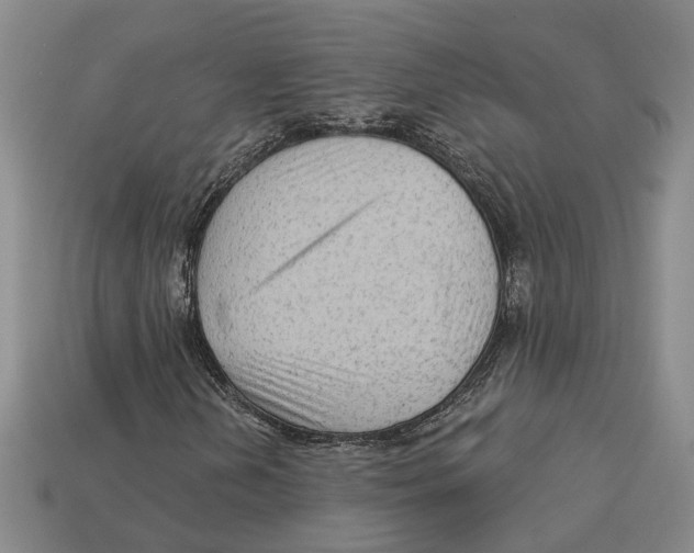 X0000113021202200909241628