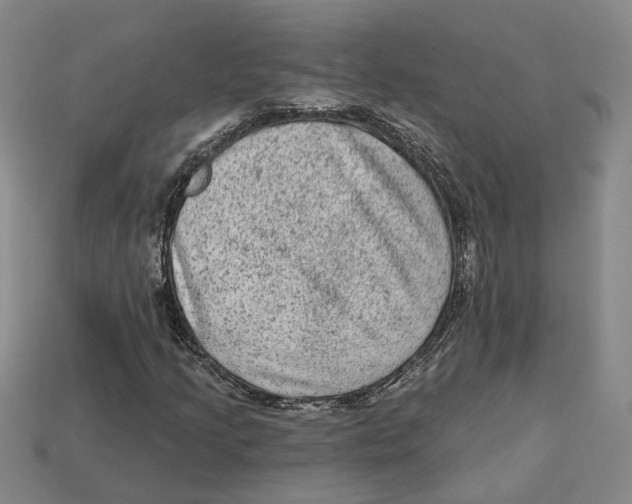 X0000113021205200909241628