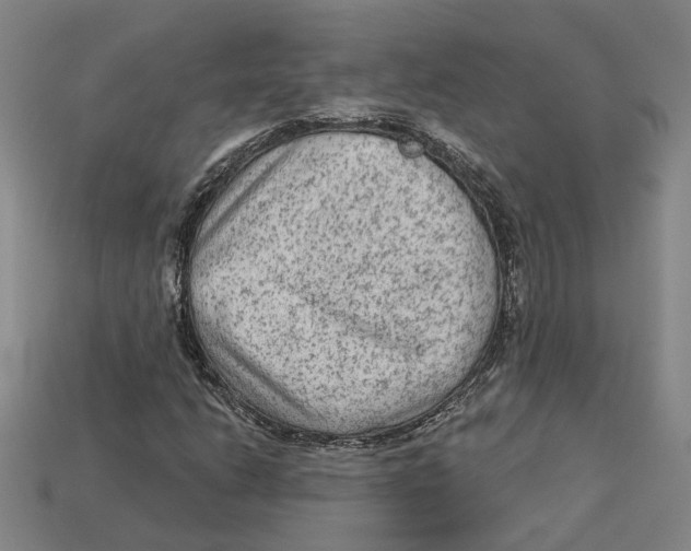 X0000113021206200909241628