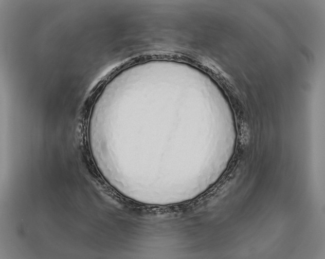 X0000113021208200909241628