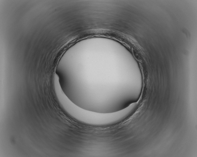 X0000113021209200909241628