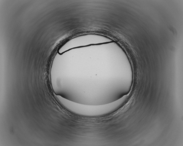 X0000113021210200909241628