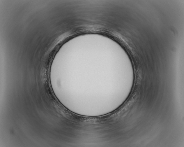 X0000113021211200909241628