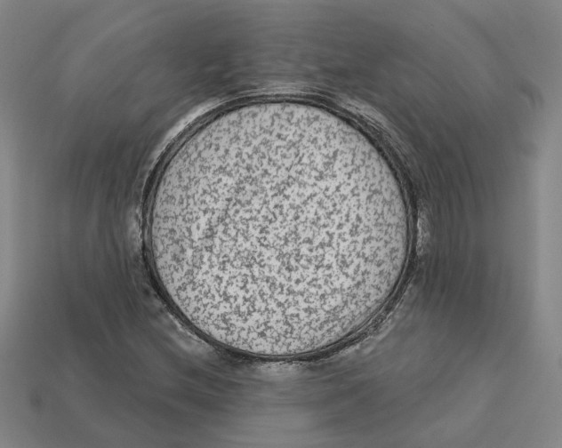 X0000113021212200909241628