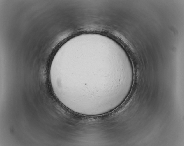 X0000113021213200909241628