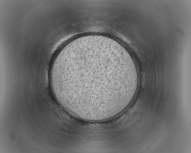 X0000113021214200909241628