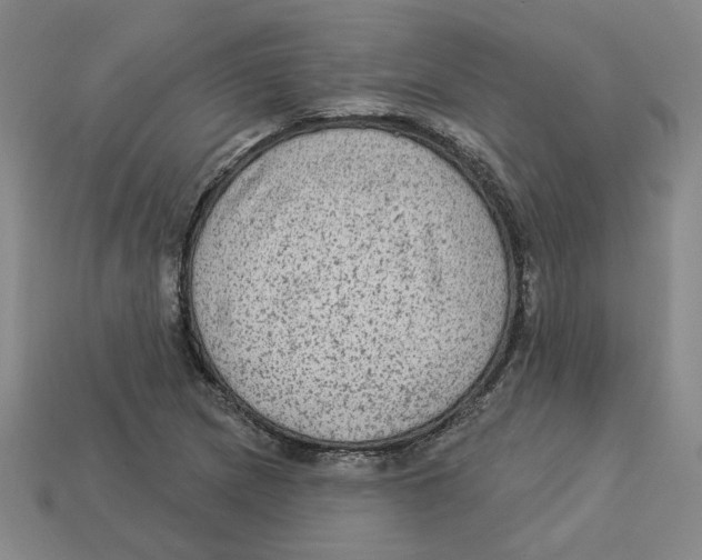 X0000113021217200909241628