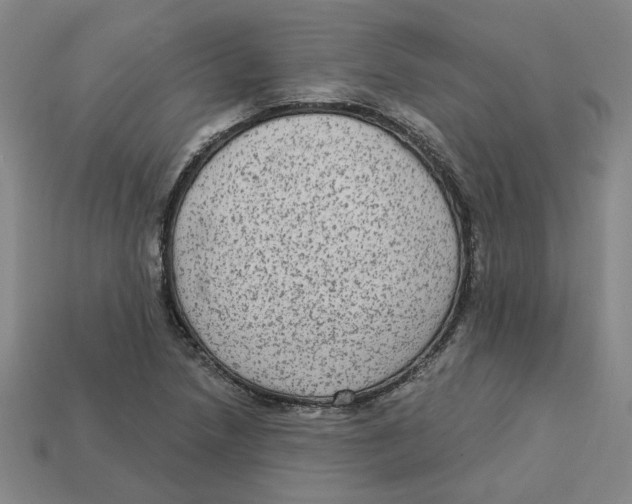 X0000113021218200909241628