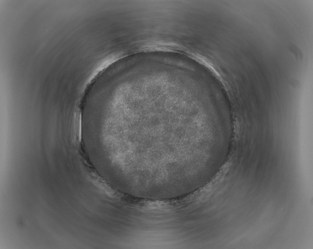 X0000113021219200909241628