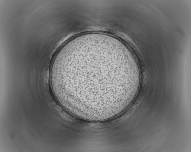 X0000113021220200909241628