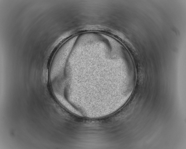 X0000113021221200909241628