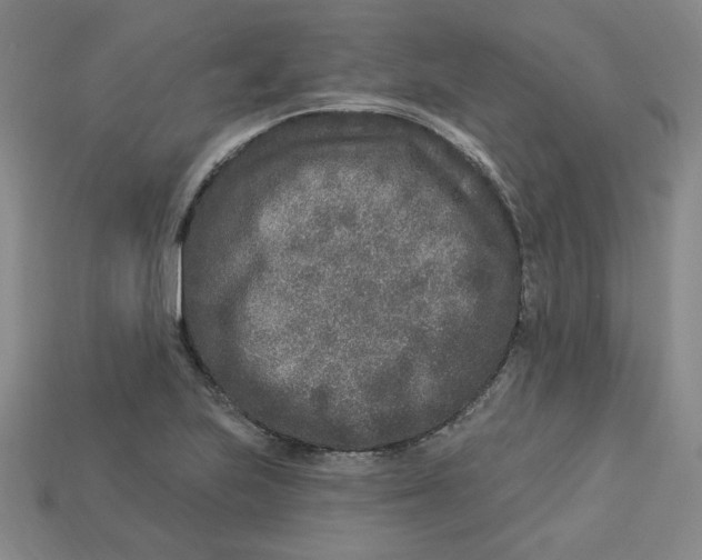 X0000113021223200909241628