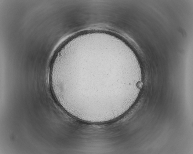 X0000113021224200909241628