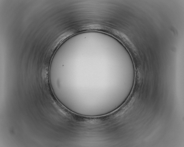 X0000113021225200909241628