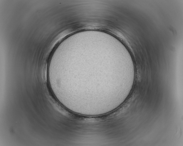 X0000113021227200909241628