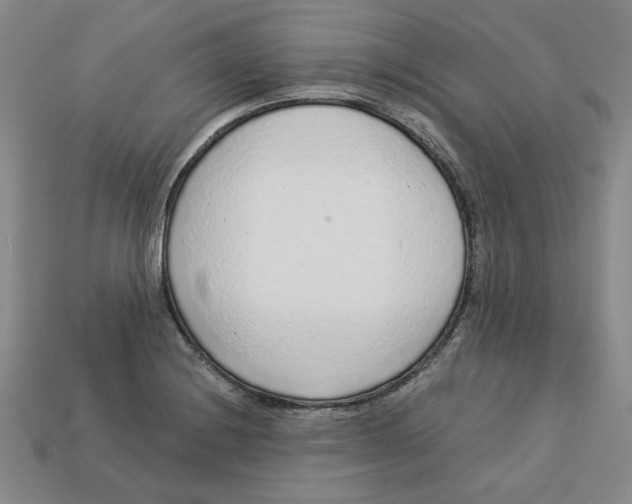 X0000113021228200909241628