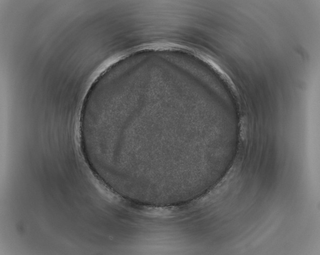 X0000113021229200909241628