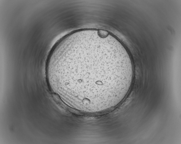 X0000113021230200909241628