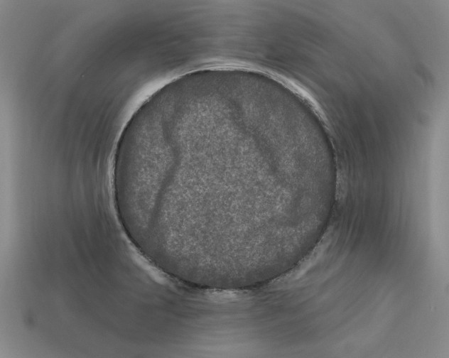 X0000113021231200909241628