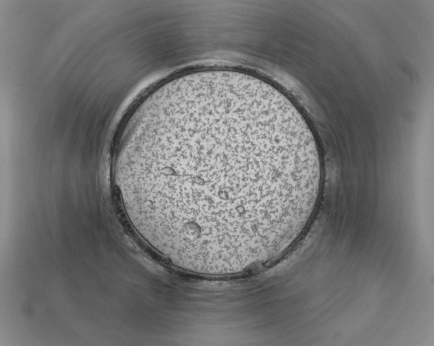 X0000113021232200909241628