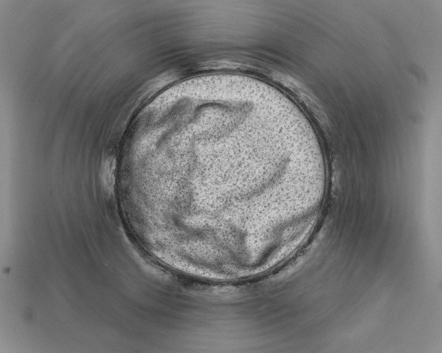 X0000113021233200909241628