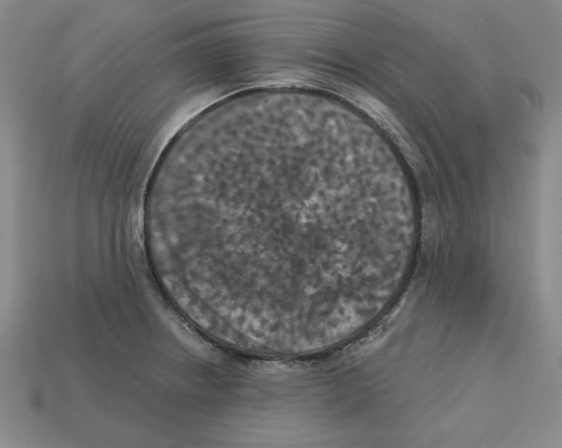 X0000113021234200909241628