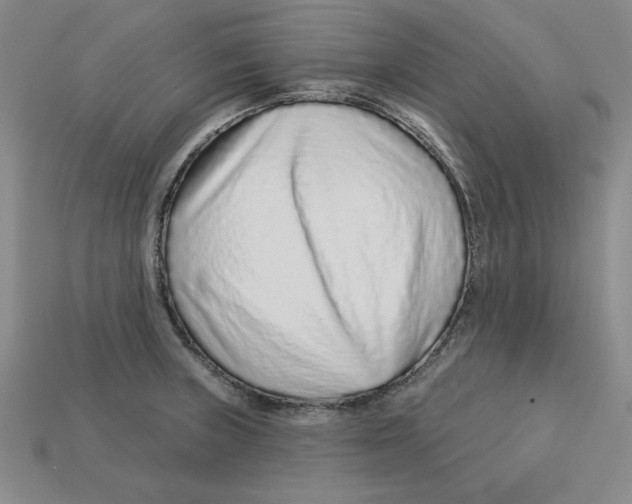 X0000113021235200909241628