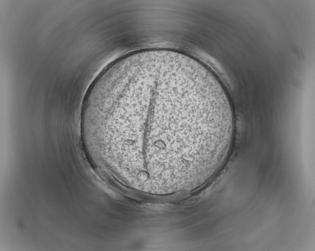 X0000113021236200909241628