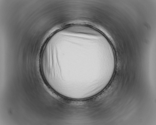 X0000113021237200909241628