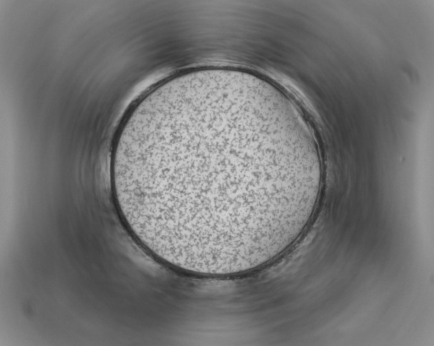 X0000113021238200909241628